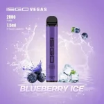 Isgo Vegas 2800 Puffs Disposable Vape