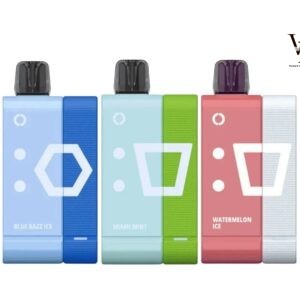 Elf Bar EW9000 Prefilled Pod Kit in Dubai