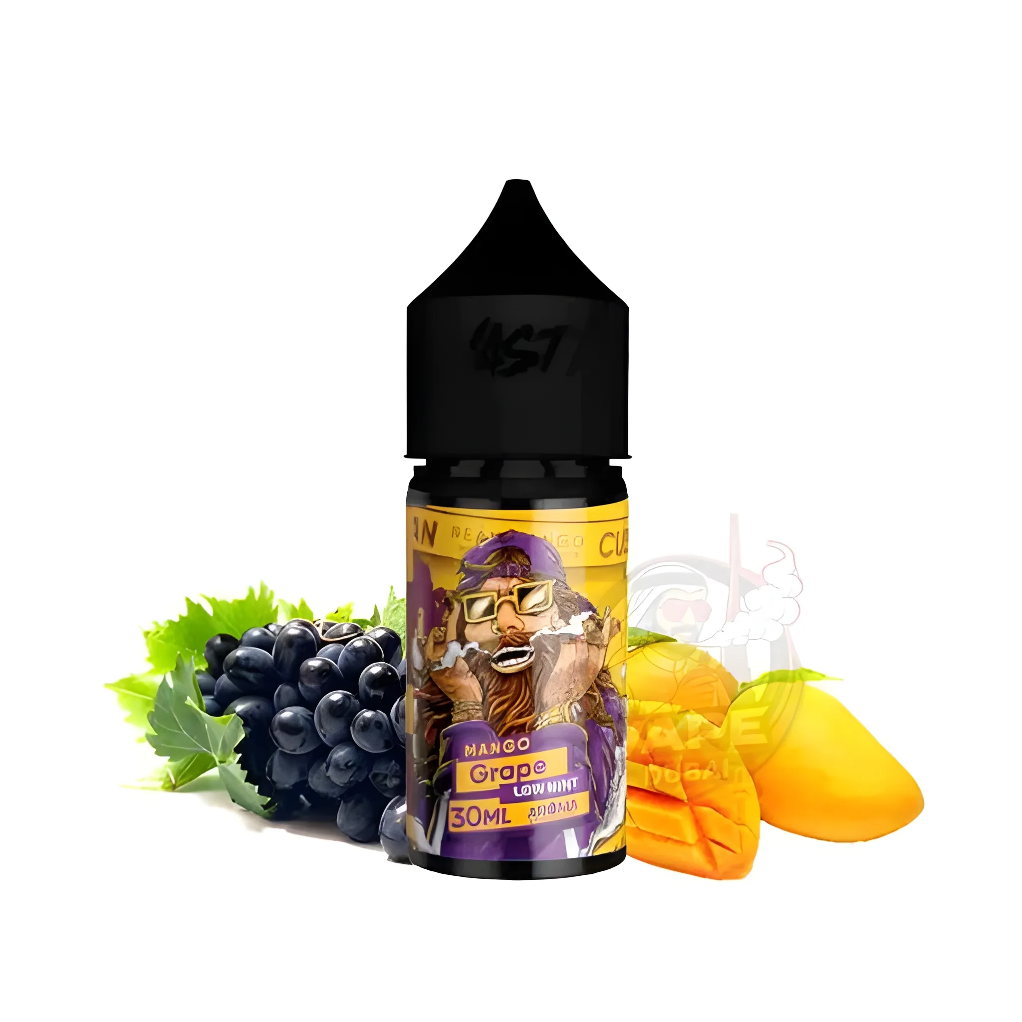Salt Nicotine Nasty E-Juice