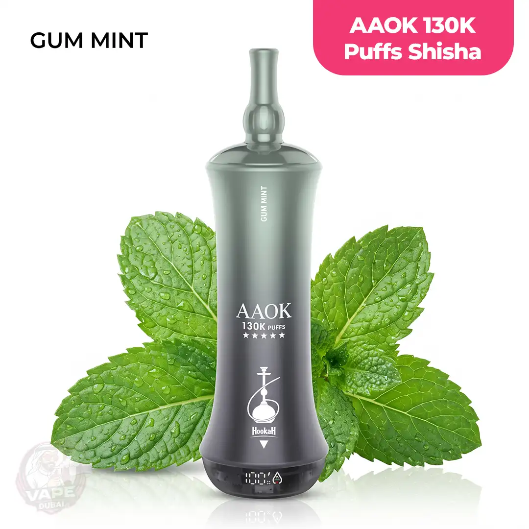 AAOK 130K Puffs Hookah Disposable Vape, Abu-Dhabi